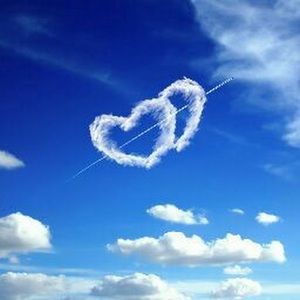 Meet your Posher, Savannah